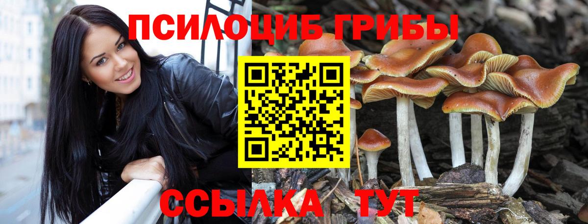Реутов  Галлюциногенные грибы ЛСД  Псилоцибиновые грибы Psilocybe  Вход с VPN 